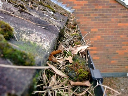Is it time to de-clutter your gutter?